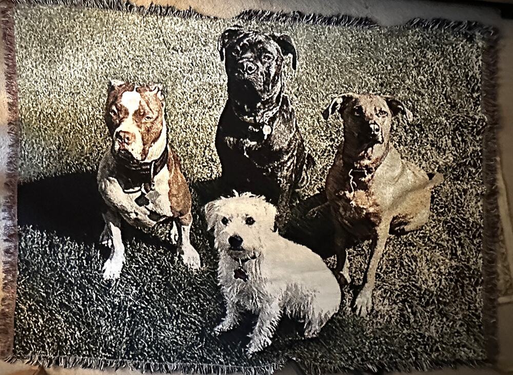 Tapestry Dog Throw Blanket Fringed Trim Woven Novelty 4 Dogs Couch 72x52
